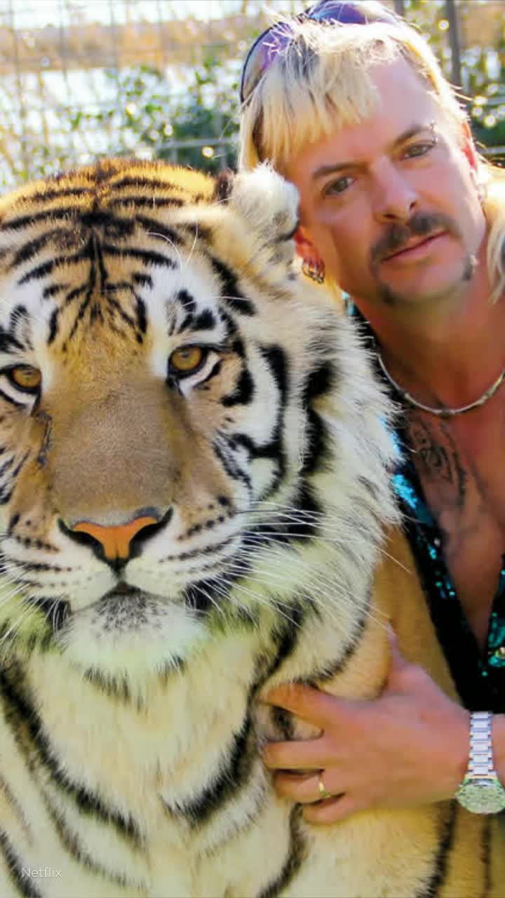 Tiger doc. Тайгер Кинг. Joe exotic. Сериал про тигров Нетфликс. Король тигров 2 сериал.