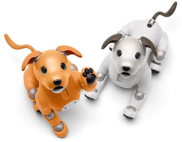 ソニー 犬型ロボットaiboにお出迎えしてくれる機能を追加 Engadget 日本版