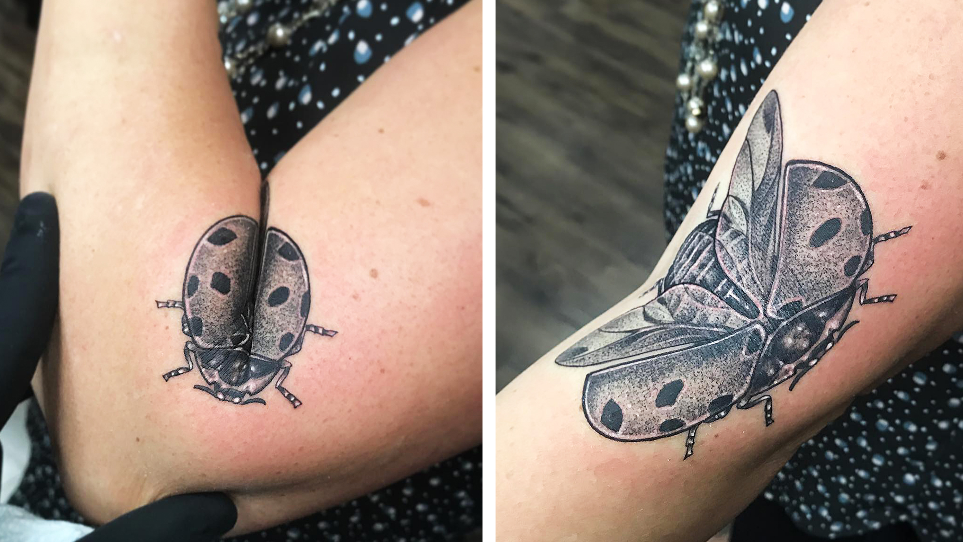 3. Bug Themed Temporary Tattoos - wide 9