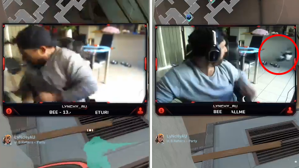 Moment magpie swoops gamer inside his home caught on video