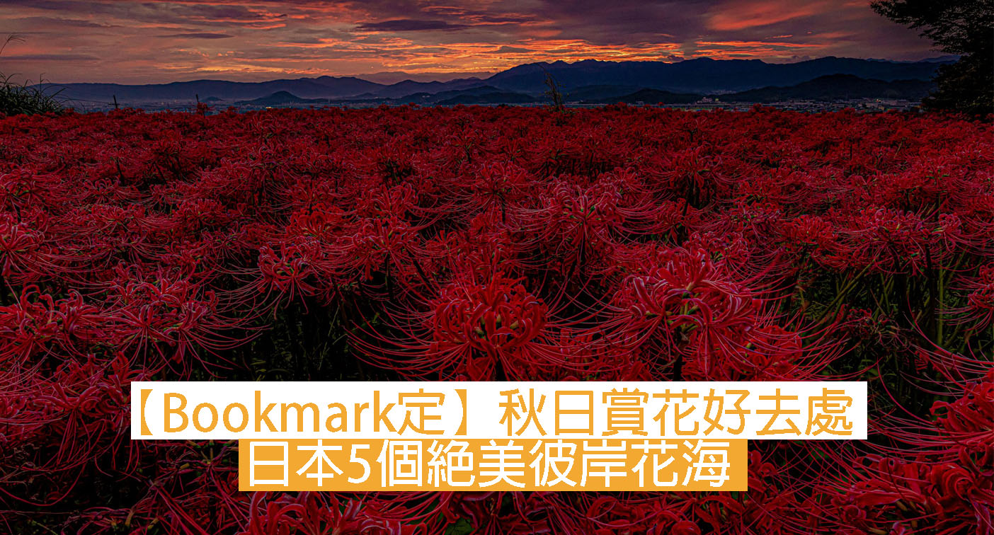 Bookmark定 秋日賞花好去處日本5個絕美彼岸花海