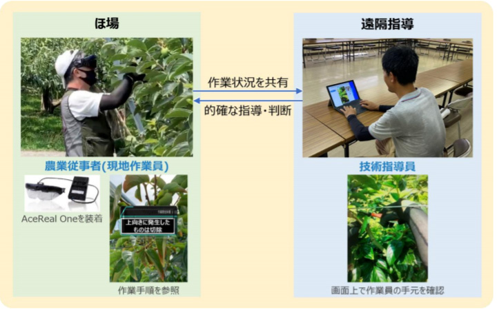 Nttドコモ スマートグラスによる農業遠隔指導の実証実験を開始 Engadget 日本版