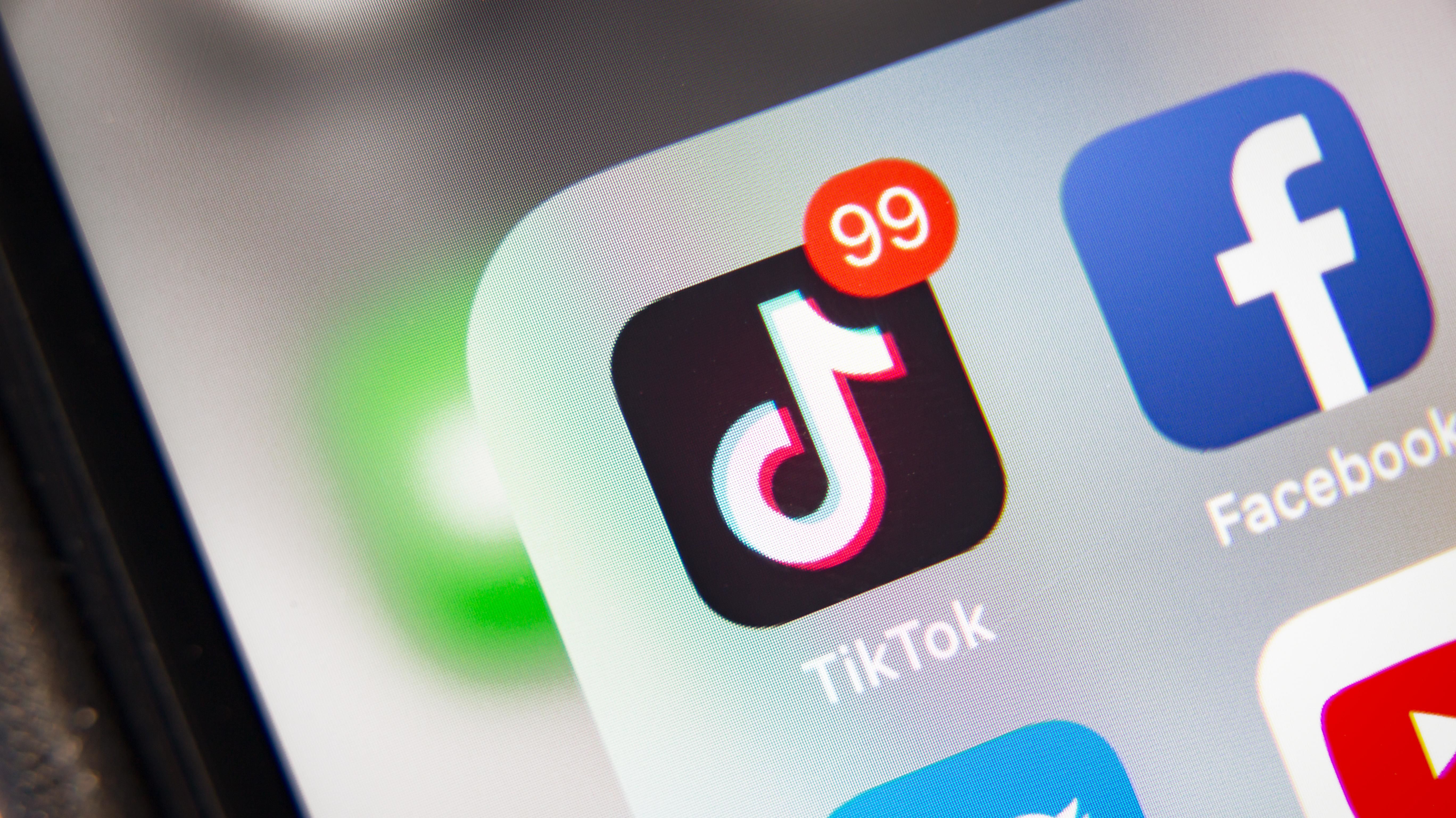 Us Court Agrees To Expedite Government Tiktok App Store Ban Appeal