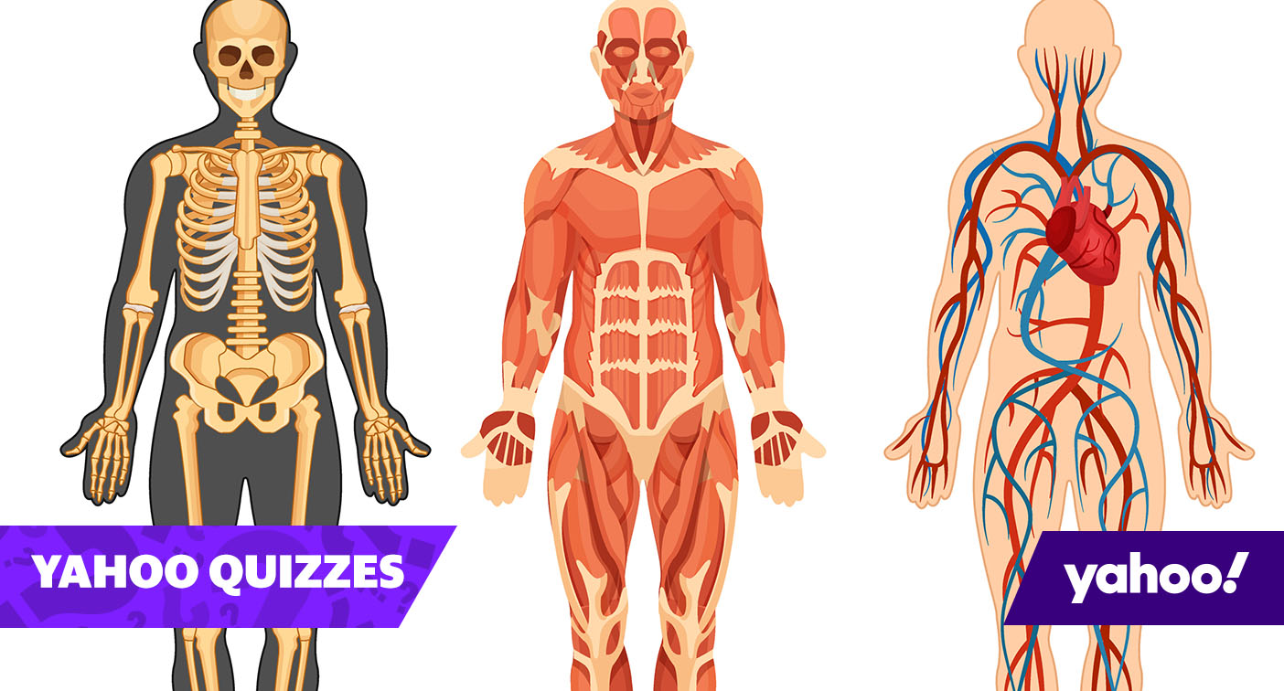 Quiz: Do you know all the parts of the human body?