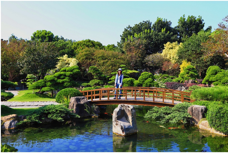 超好拍的台版兼六園 彰化永靖成美文化園 Yahoo奇摩旅遊