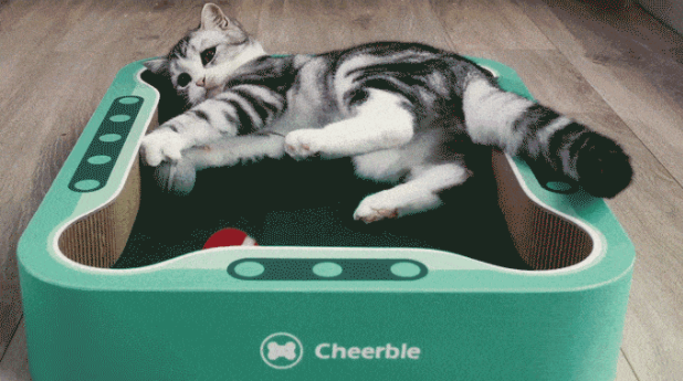 自動でころころ転がって猫ちゃん大満足なガジェット「Cheerble Board Game」