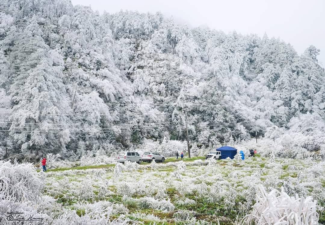 台灣變雪國了嗎全台4大下雪機率最高的銀白秘境快衝一波 Yahoo奇摩旅遊