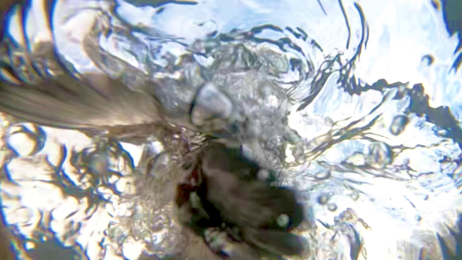 A dramatic fish-eye view shows life from beneath the surface - as a hidden underwater camera captures the moment a kingfisher dives from above to catch its next meal. The hidden GoPro camera shows the last peaceful seconds of the fish swimming along beneath the water's glassy surface - just before one of them becomes lunch for the agile kingfisher.