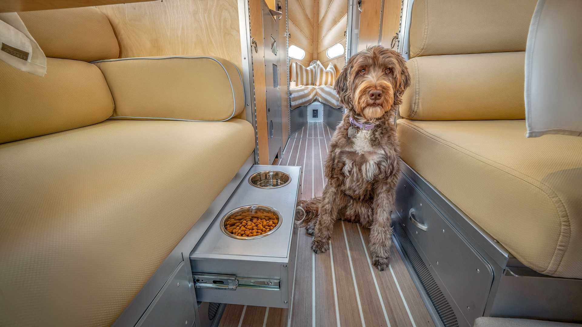 Bowlus 專為寵物設計的 Terra Firma 讓狗兒也能跟著出遊露營 