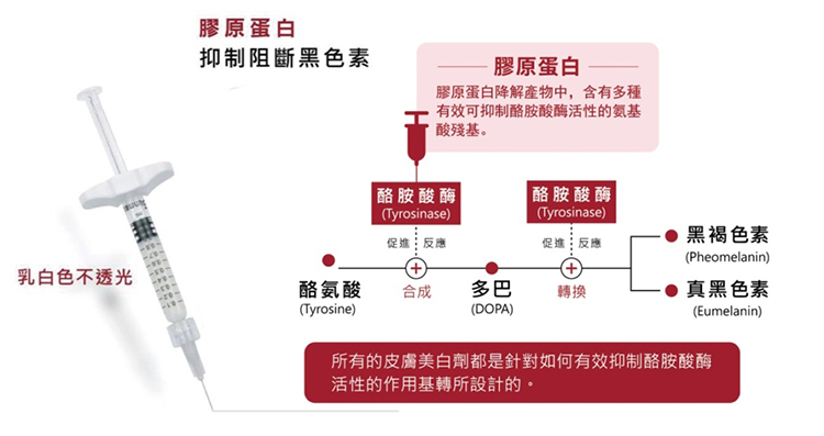 ▲施打膠原蛋白針，眼周變得明亮緊緻，看起來也更加有精神。（圖/粹究美學診所提供）