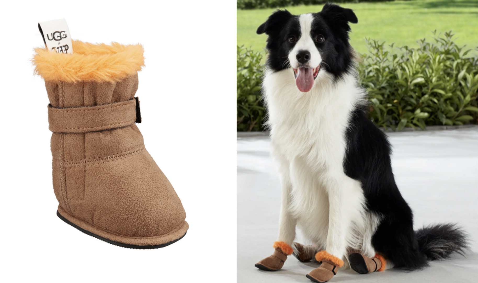 ugg boots for dogs