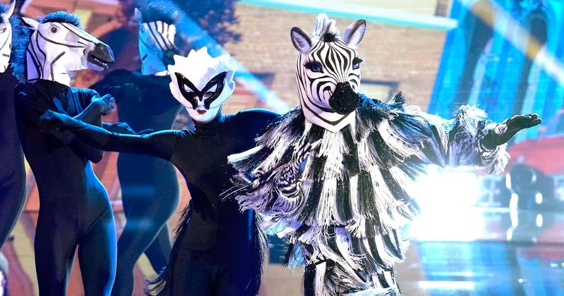Masked Dancer Zebra Revealed as World Boxing Champion