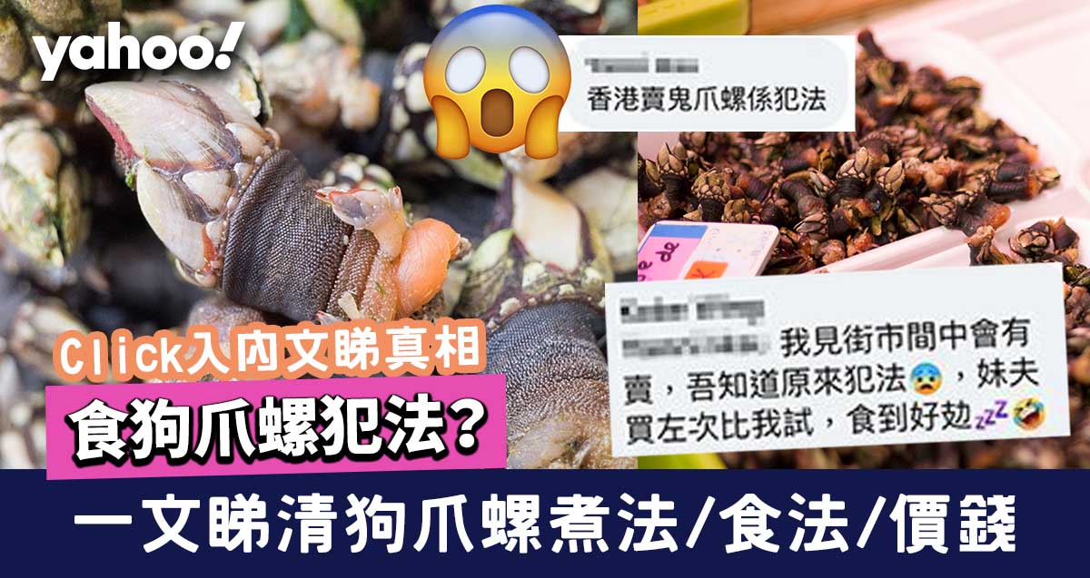 食狗爪螺犯法 一文睇清狗爪螺煮法 食法 價錢 季節