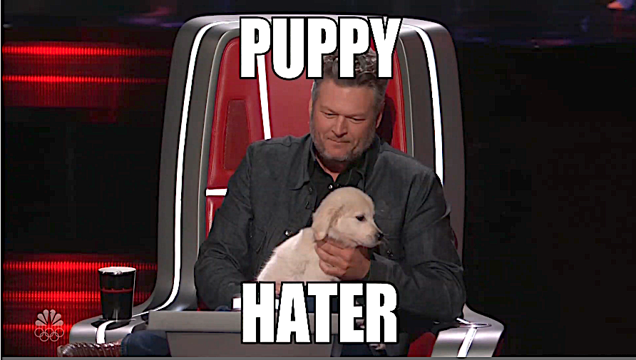 “I want everyone at home to know that I’m not a puppy hater.”