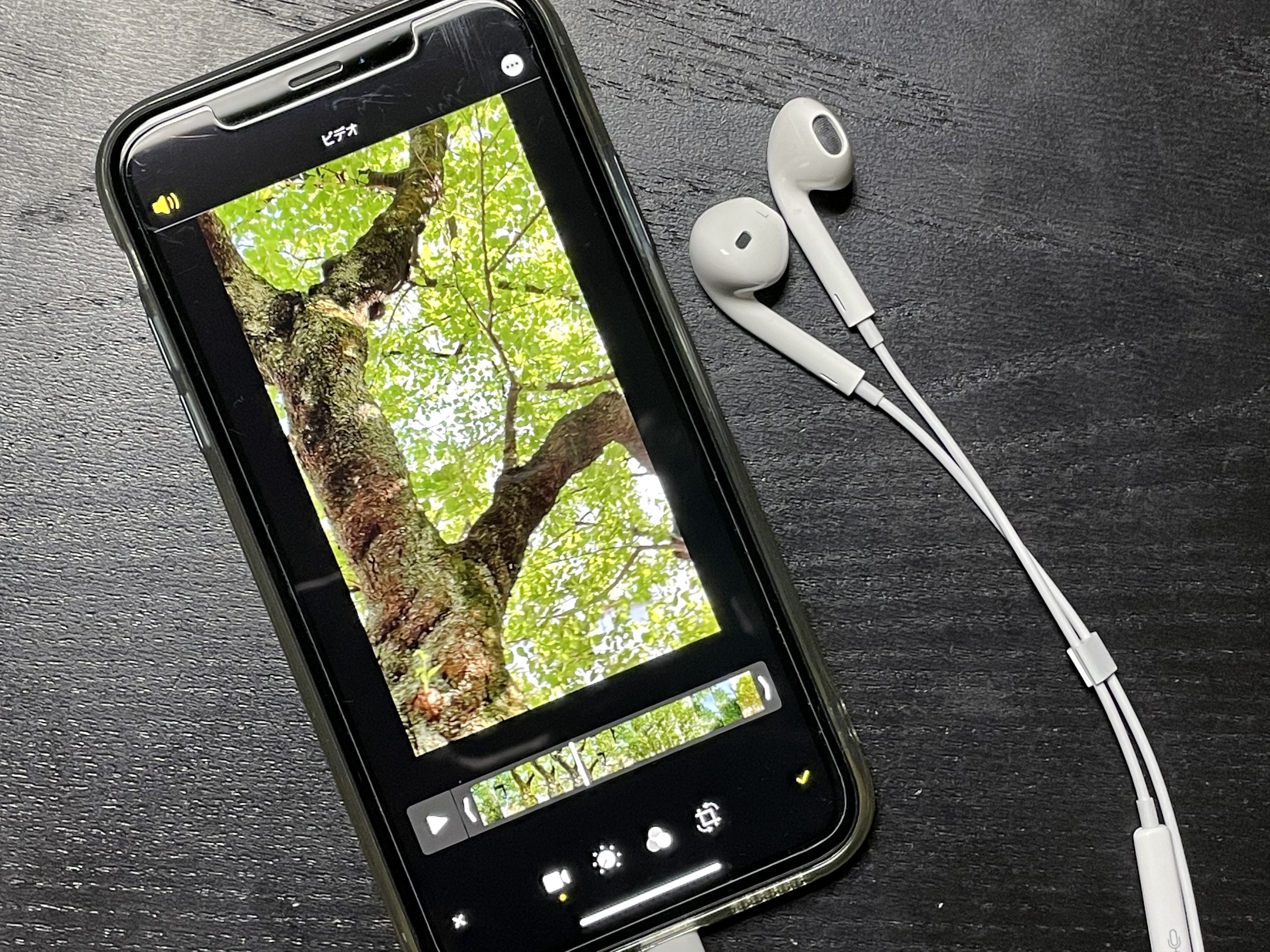 Snsでちょっとしたシェアが楽に 撮影した動画から音声だけを消す方法 Iphone Tips Engadget 日本版