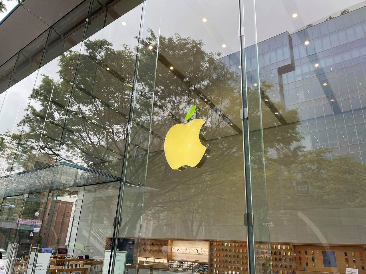 Apple Storeのリンゴの葉 アースデイで今年も緑に Engadget 日本版