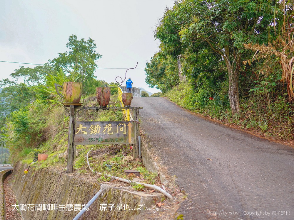 臺南東山175咖啡公路｜大鋤花間咖啡生態農場