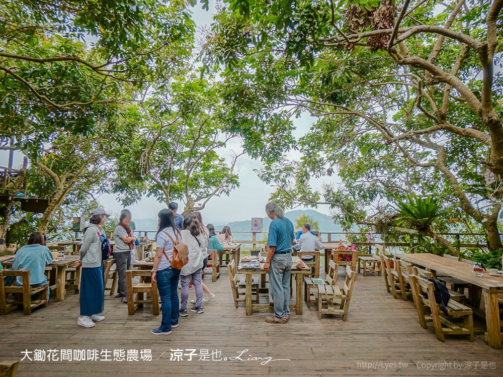 臺南東山175咖啡公路｜大鋤花間咖啡生態農場