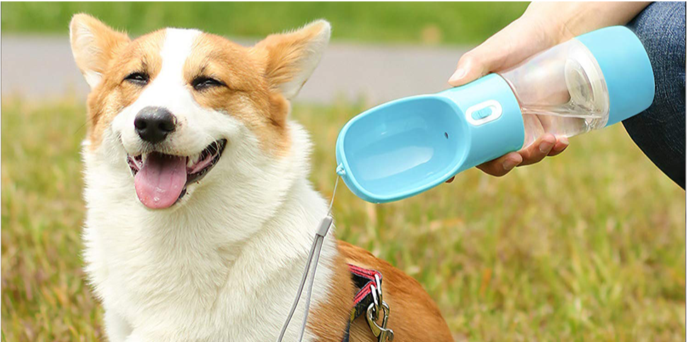 Multi-Use Outdoor Dog Water Bottle with Feeding Bowl, Portable and  Lightweight