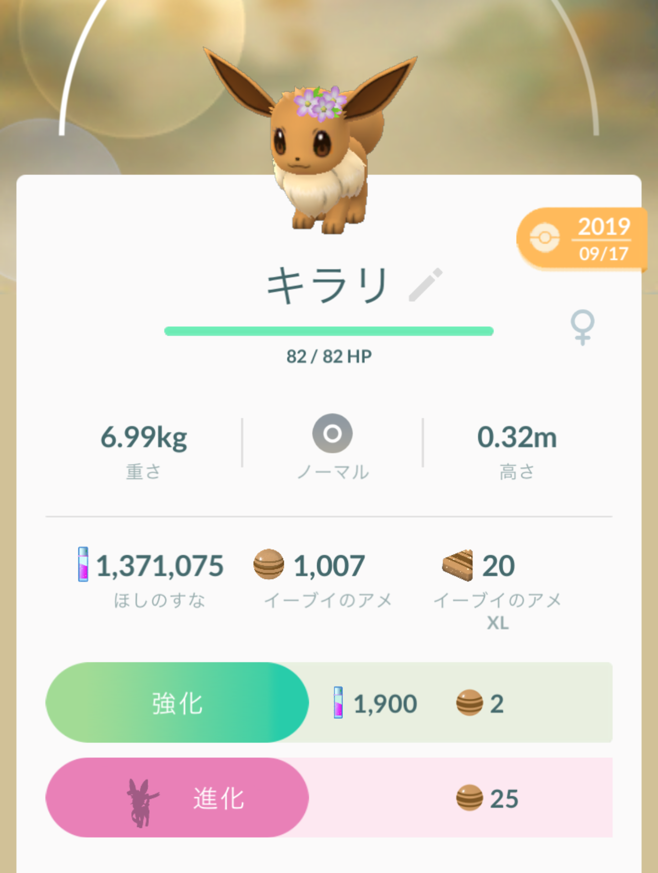 直径 振り向く パーティション ブイズ ポケモン Go 奇跡的な トチの実の木 高層ビル