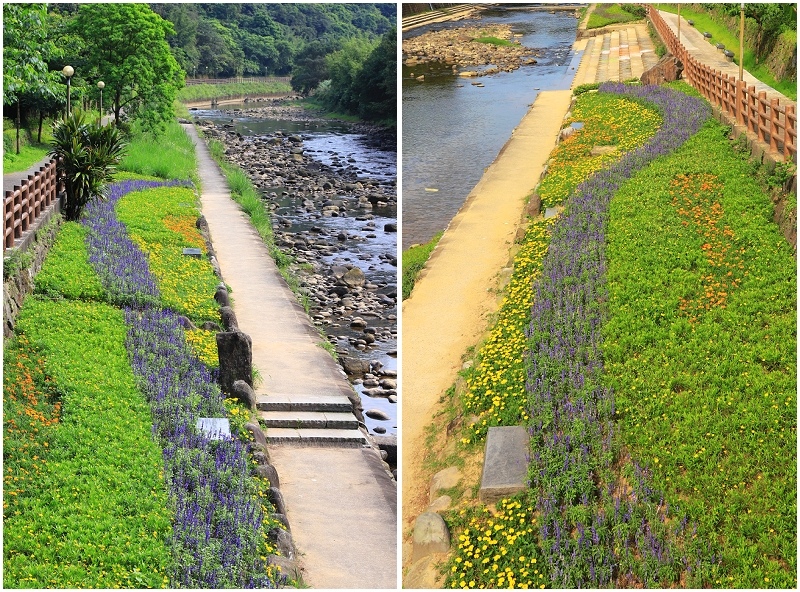 21萬里區繡球花季開始囉 偽出國超夢幻繽紛花海 新北萬里一日遊就醬玩 Yahoo奇摩旅遊