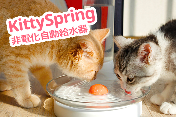 電力を使わず重力で給水 ヒゲも濡れない すべての猫が愛用する自動給水器 Kittyspring Engadget 日本版