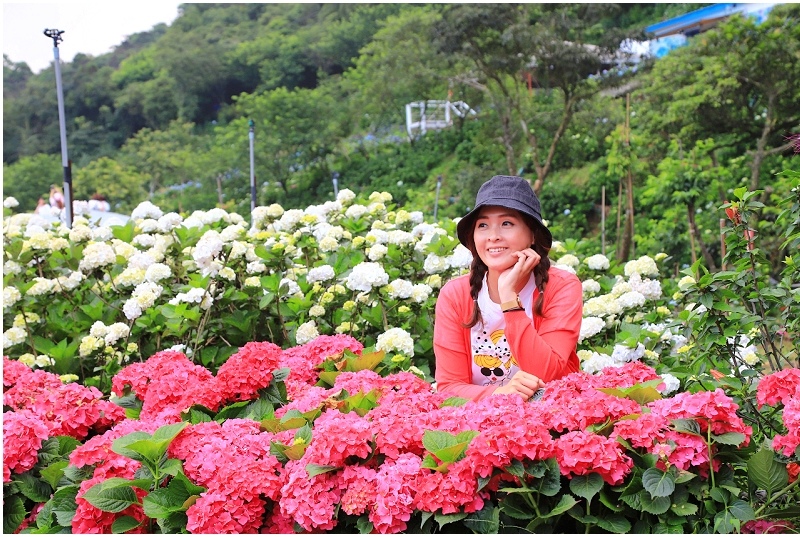 21萬里區繡球花季開始囉 偽出國超夢幻繽紛花海 新北萬里一日遊就醬玩 Yahoo奇摩旅遊