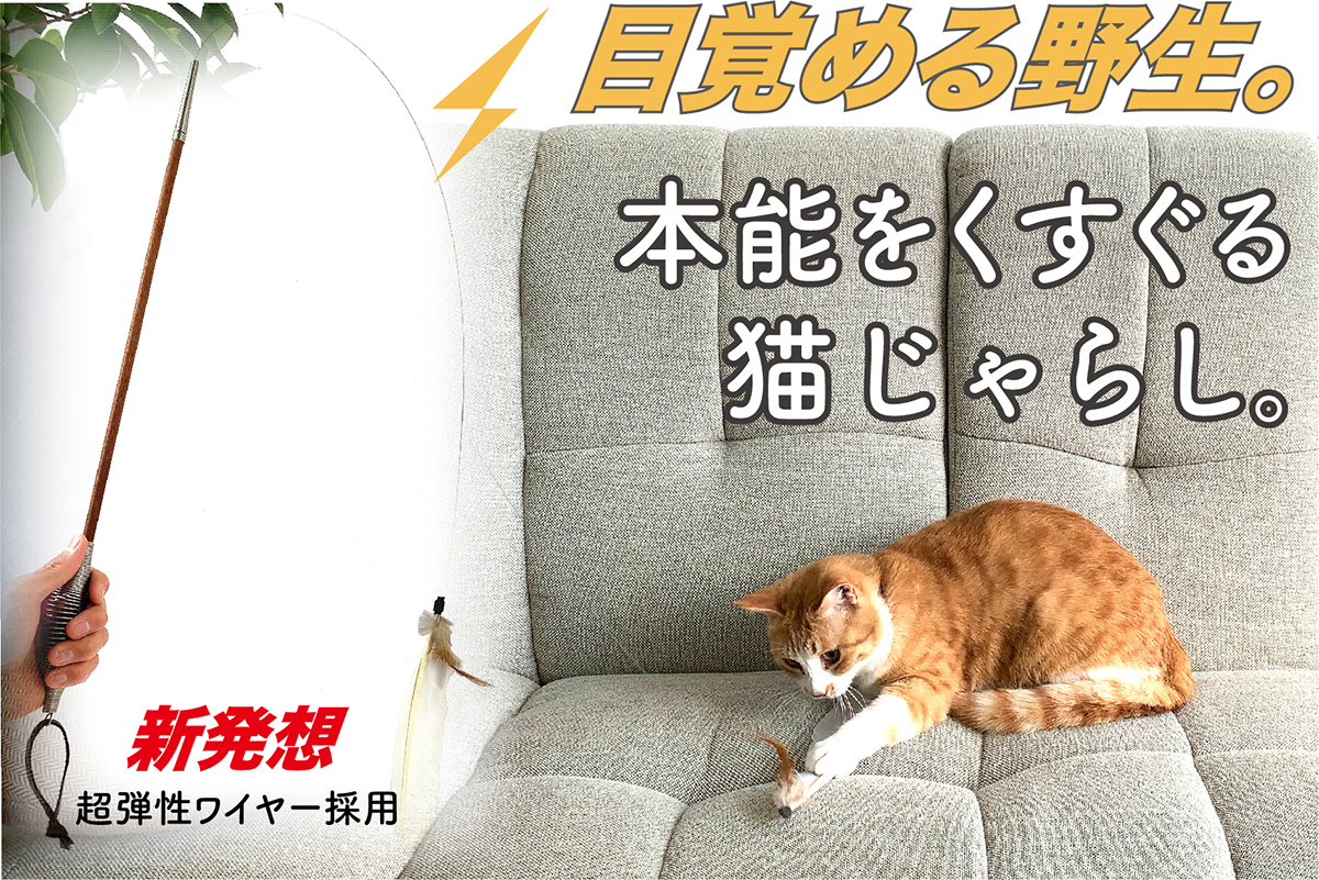 愛猫の運動不足解消に ばね屋が作った新発想の猫じゃらし ばねじゃらし Engadget 日本版