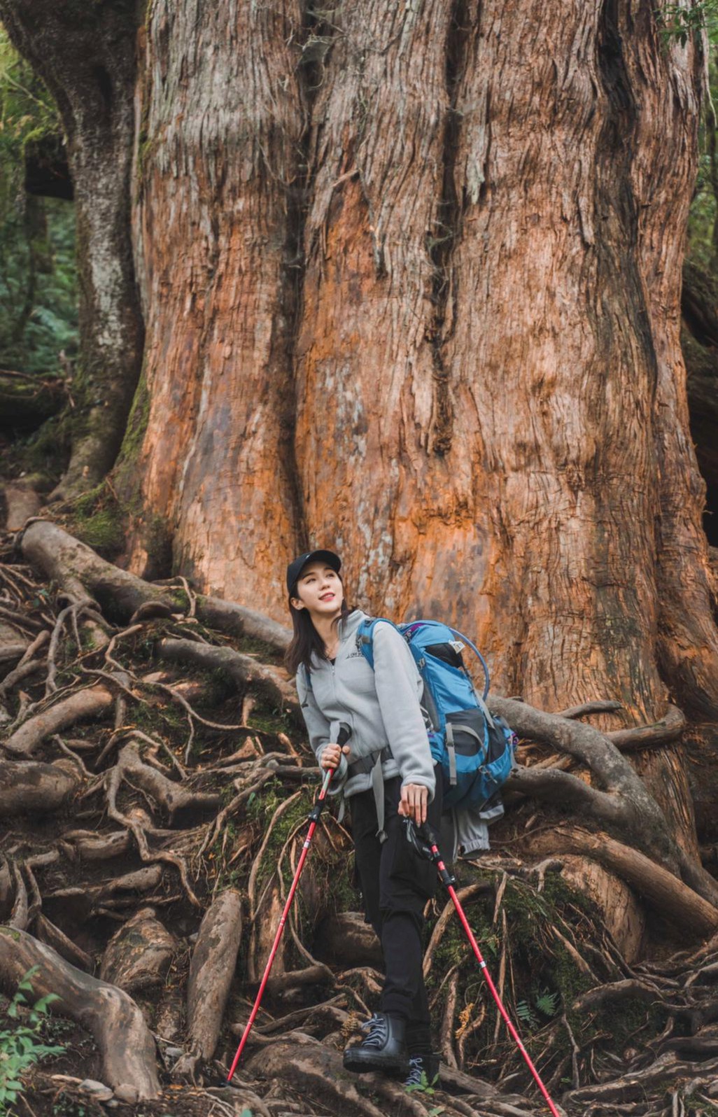 ▲潘映竹對於神木能幾千來屹立不搖，感到生命力的強大。