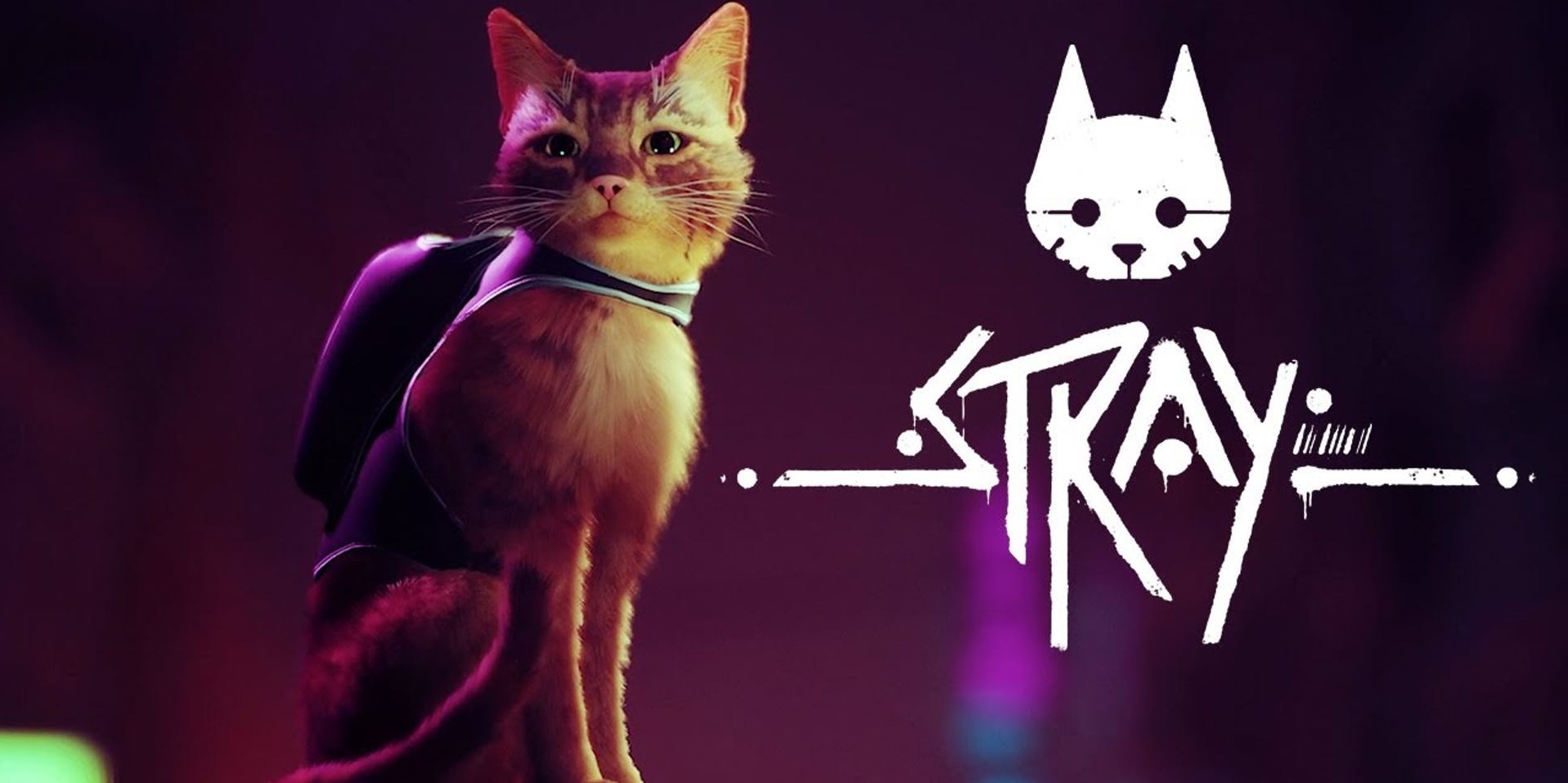 Stray》超細緻實機畫面釋出，人世喧囂不如當隻貓貓- Yahoo奇摩遊戲電競