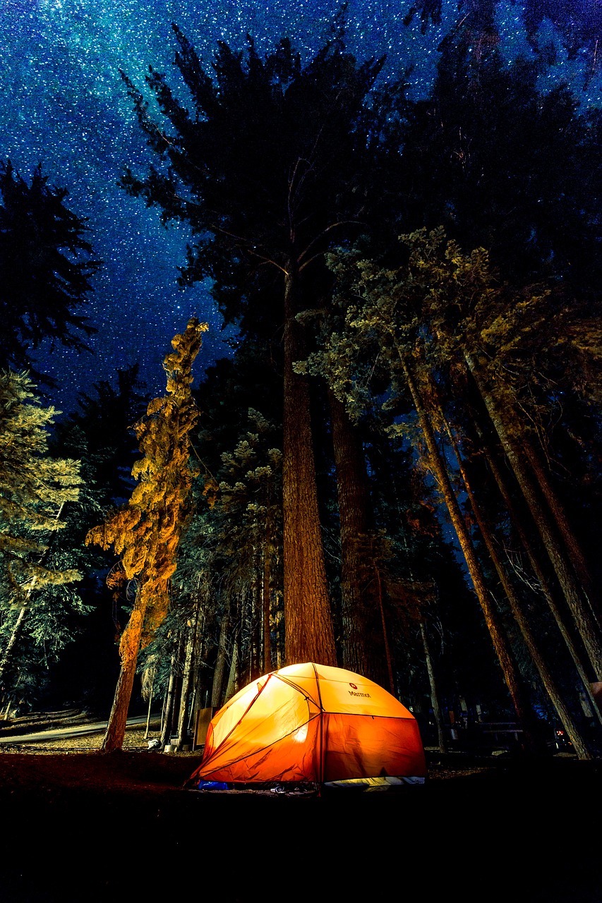 與大地共枕敞徉在滿天星鬥中（Photo Credit: Pexels@pixabay.com, License CC0，圖片來源：https://pixabay.com/zh/photos/camping-dark-forest-light-1850107/）