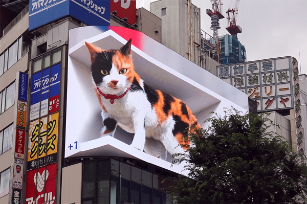 新宿のビジョンに3D映像で巨大三毛猫が登場