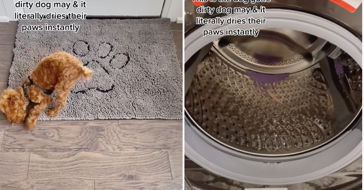 Why the Dirty Dog Doormat is a Must-Have for Pet Owners – We Know Pets