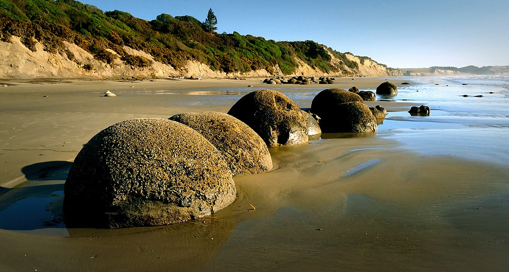 科依科西海灘 (Photo by Bernard Spragg. NZ from Christchurch, New Zealand, License: CC0, Wikimedia Commons提供, 圖片來源www.flickr.com/photos/volvob12b/26411317600)