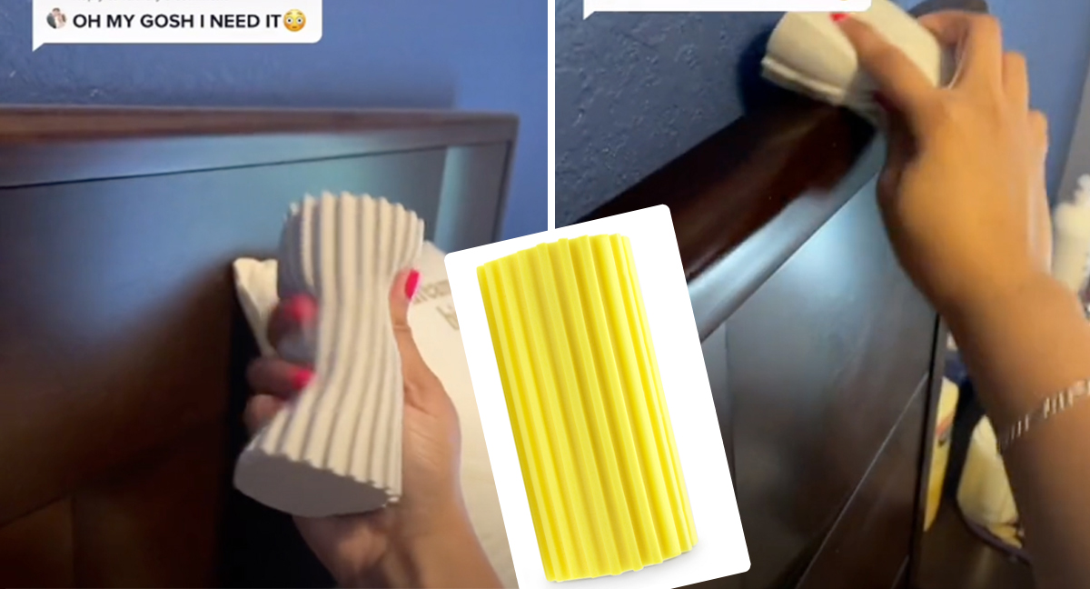 $20 Cleaning Kit - Vanesa Amaro TikTok