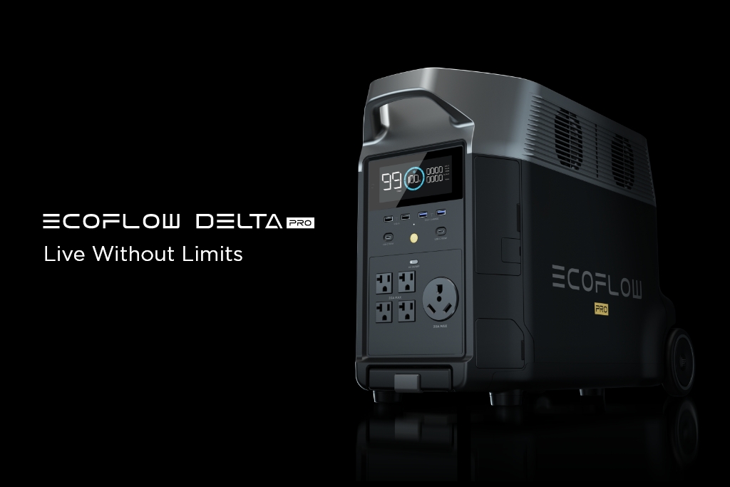 EcoFlow Delta 2 Portable Power Station: Raises the Bar on Emergency Power  Solutions