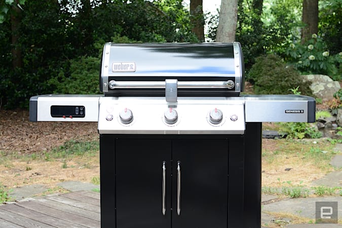 Weber Genesis II EX-315