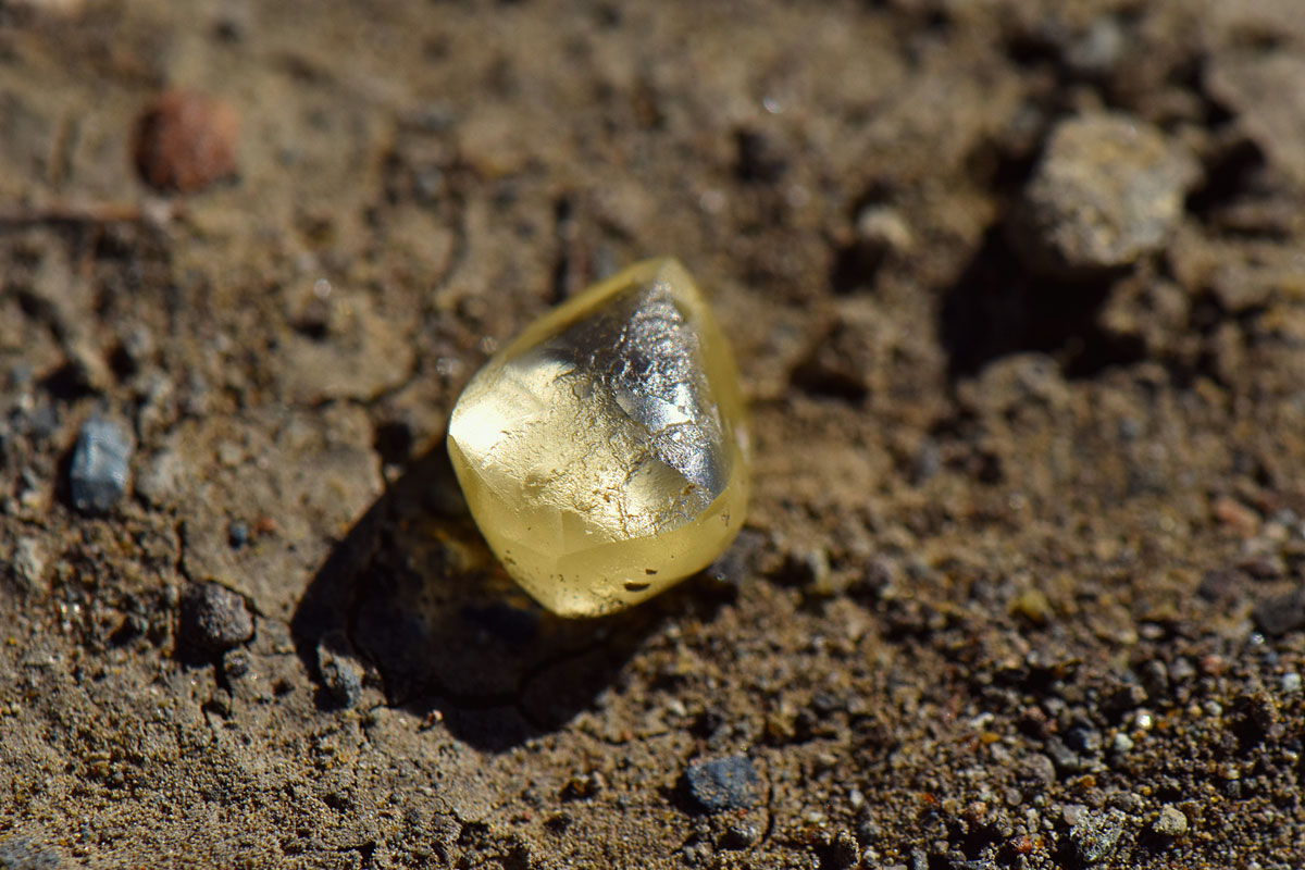 Piedras preciosas, diamantes y ornamentos ha sido detectado en Florida