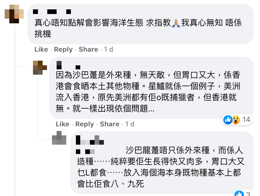 魚友釣到沙巴躉幼魚證自行繁殖被放生人士詛咒 放生行為終現禍害危害海洋生態？