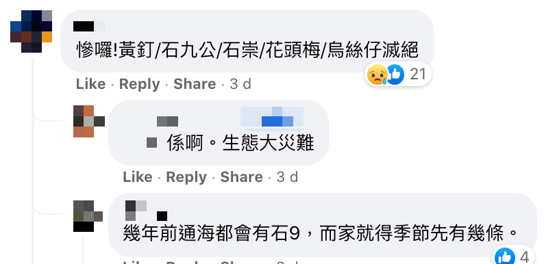 魚友釣到沙巴躉幼魚證自行繁殖被放生人士詛咒 放生行為終現禍害危害海洋生態？