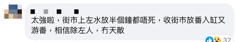 魚友釣到沙巴躉幼魚證自行繁殖被放生人士詛咒 放生行為終現禍害危害海洋生態？