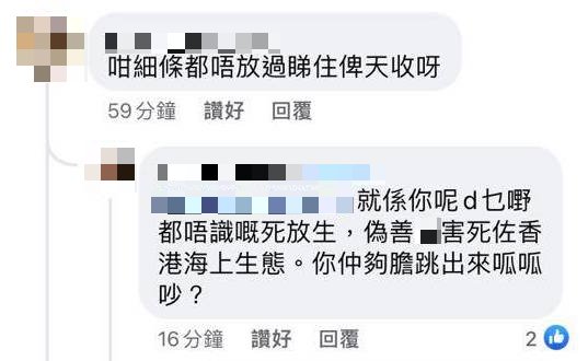 魚友釣到沙巴龍躉幼魚證自行繁殖 放生行為終禍害危害海洋生態？