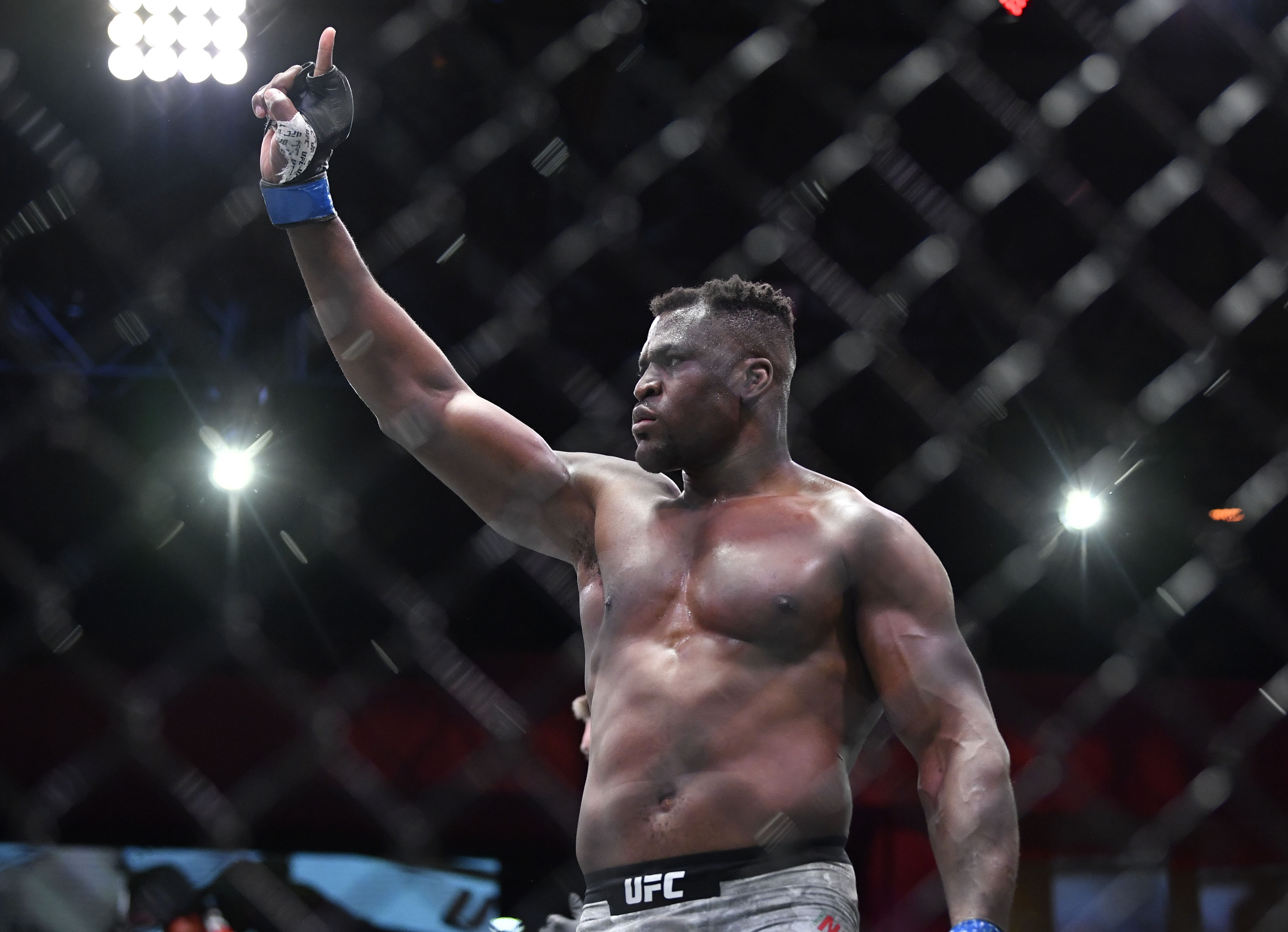 Ufc francis ngannou