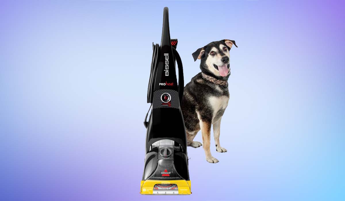 Bissell Proheat Advanced Carpet Cleaner sale at Walmart