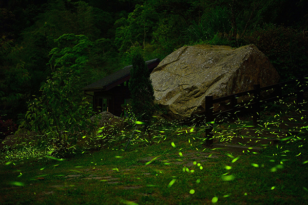 圓潭自然生態園區 (圖片來源：阿里山國家風景區)