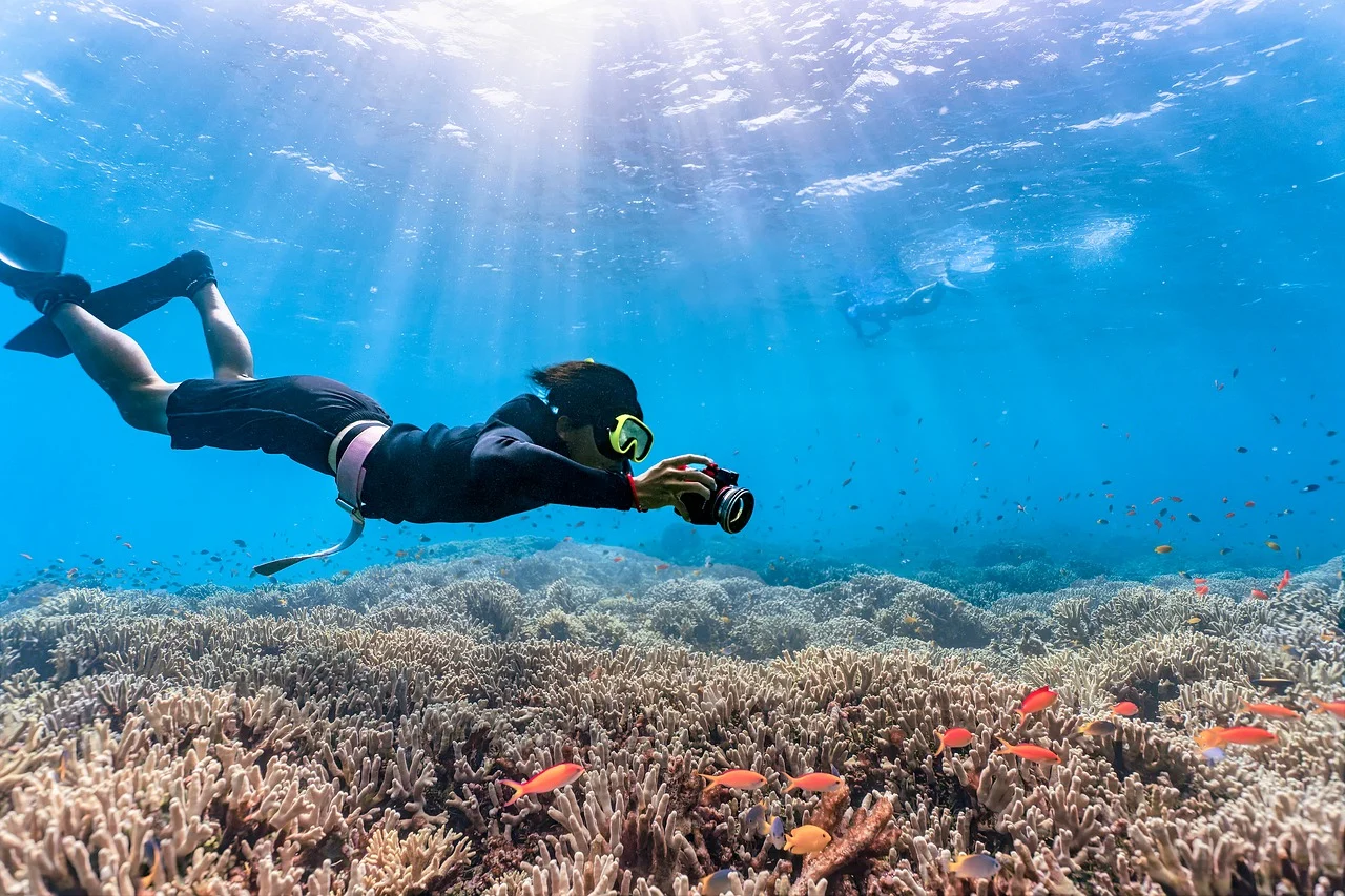 海底世界（Photo Credit:Kanenori@pixabay.com, License CC0，圖片來源：https://pixabay.com/zh/photos/diving-sea-coral-small-fish-6622121/）