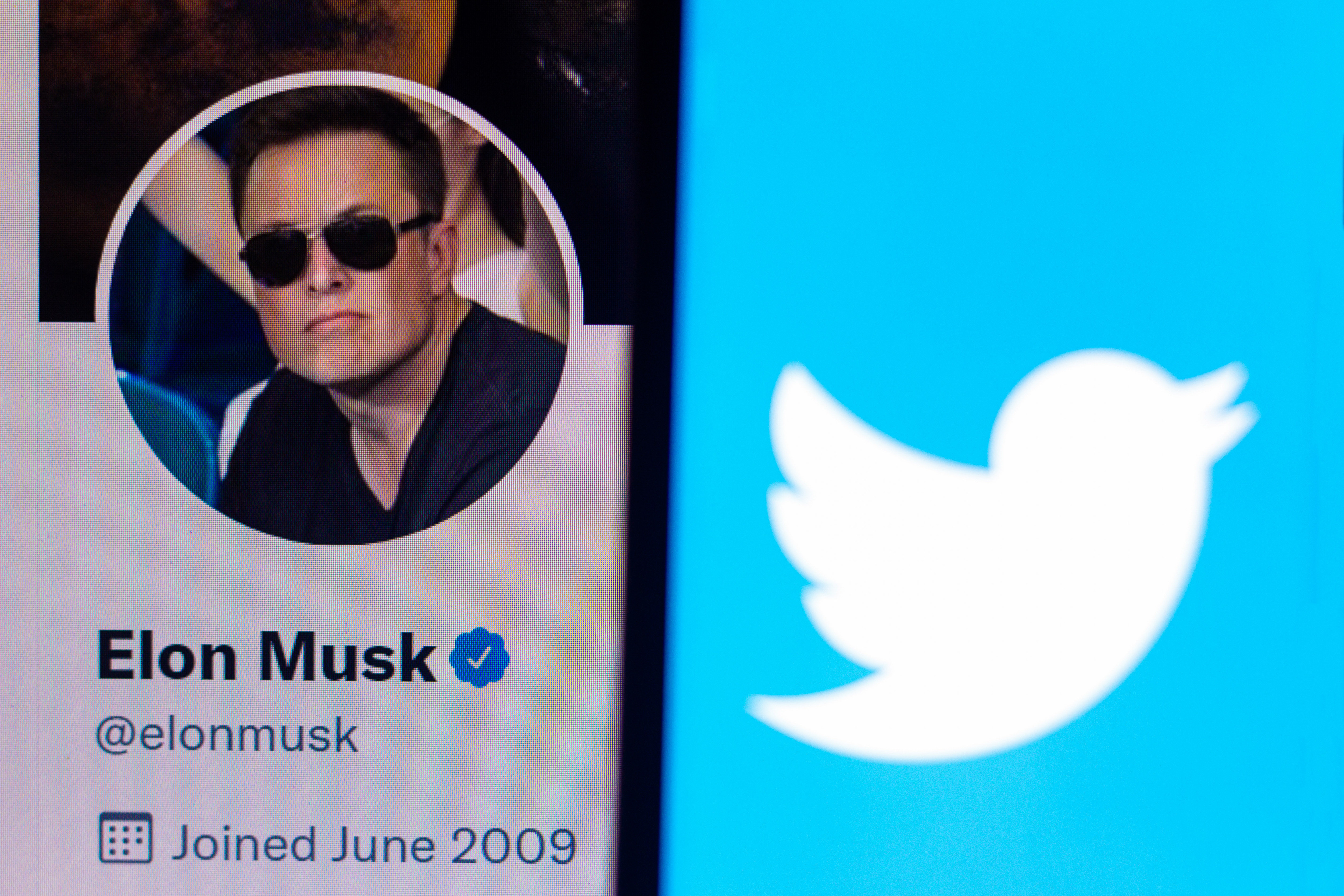 Elon Musk é processado por seu investimento no Twitter