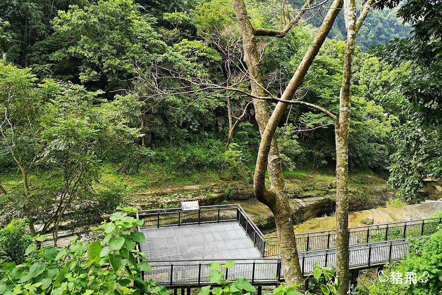 雲林草嶺｜萬年峽谷