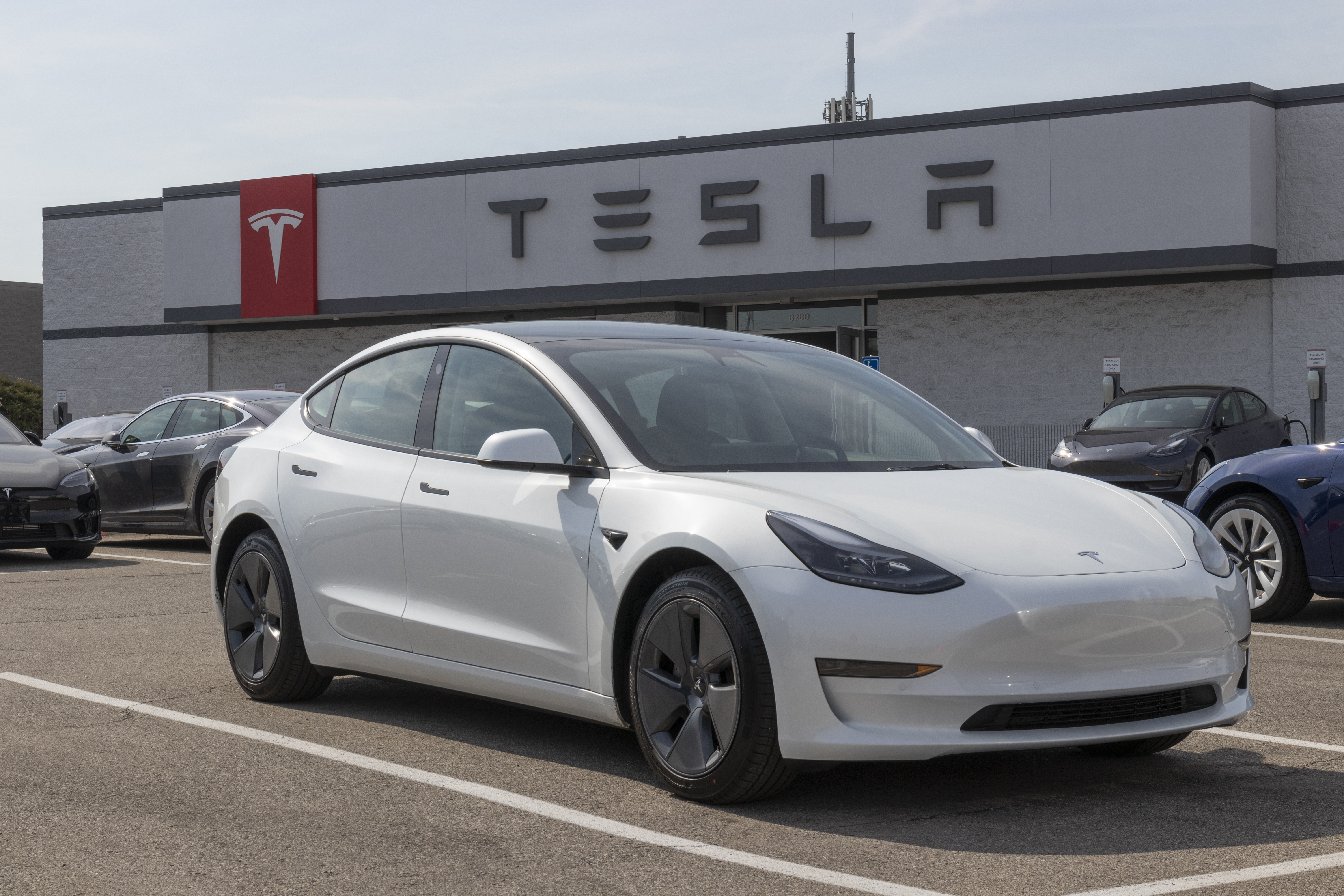 Tesla Model 3 blanco estacionado frente a una tienda de Tesla. La tienda tiene un cartel grande con el logo de Tesla y su nombre en la fachada. Otros vehículos Tesla están aparcados alrededor del Model 3, que está en primer plano y bien iluminado por la luz del día.