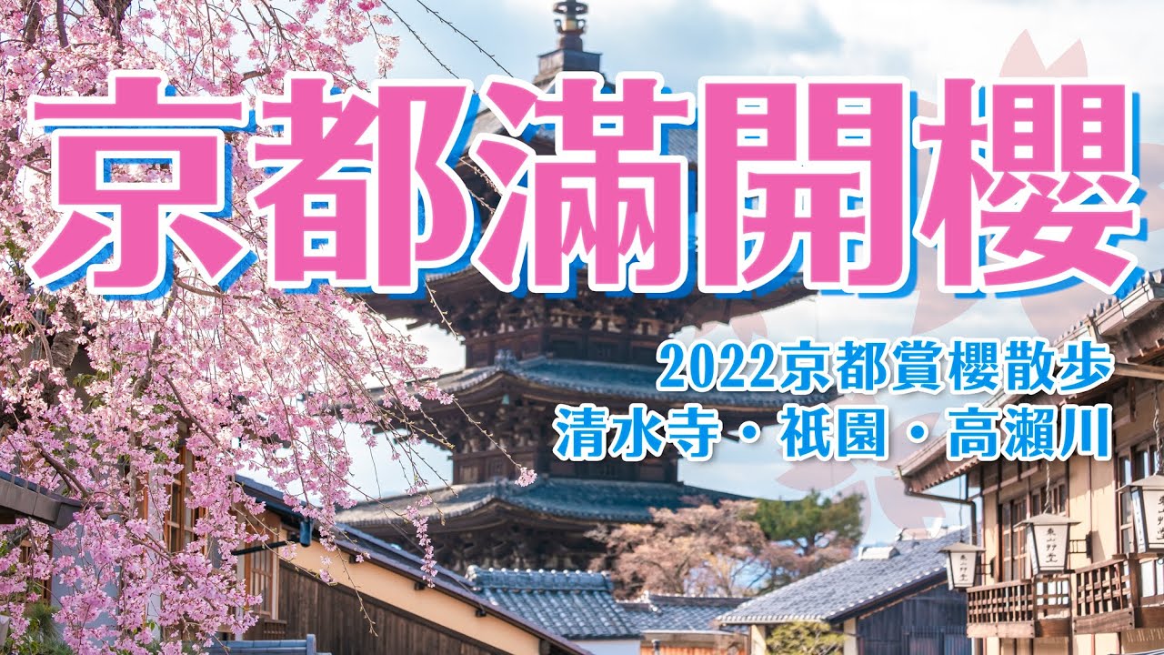 京都櫻花也滿開啦 祇園白川夜櫻點燈 清水寺二年坂三年坂 高瀨川木屋町通櫻花隧道 京都4k賞櫻散步影片 日本京都一日賞櫻景點攻略 日本旅遊vlog